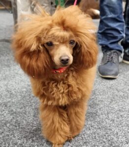 fb img 1698953179858