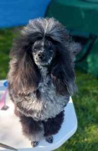 fb img 1700072804949