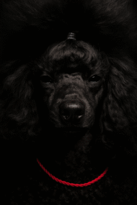 file 000000005f546246aa425619e2680e01