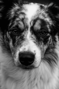 file 0000000091ec61f8a0149bea476da7f5