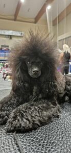 received 893665196298603